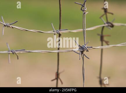 Grauer Stacheldraht grauer Stacheldraht Stockfoto