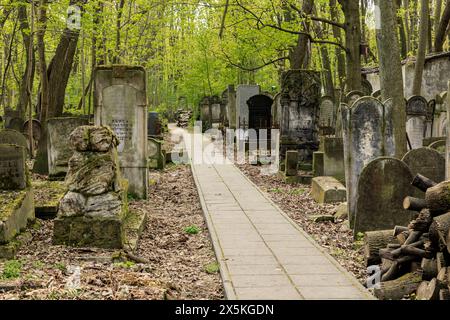 Jüdischer Friedhof in der Okopowa-Straße. Größter jüdischer Friedhof der Welt, gegründet 1806. Massengräber von Opfern des Warschauer Ghettos (Holocaust des Zweiten Weltkriegs). (Nur Für Redaktionelle Zwecke) Stockfoto