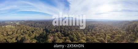 Luftaufnahme in der Nähe von Central Tilba des Mount Dromedary im Gulaga National Park in New South Wales, Australien Stockfoto