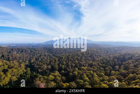 Luftaufnahme in der Nähe von Central Tilba des Mount Dromedary im Gulaga National Park in New South Wales, Australien Stockfoto