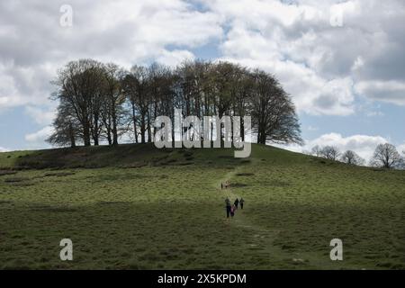 Im Petworth Park West Sussex, England, laufen die Menschen einen Hügel hinauf zu einer Reihe von Bäumen mit Himmel und Wolken im Hintergrund Stockfoto