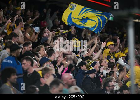 Sydney, Australien. Mai 2024. Fans der Central Coast Mariners sahen im Halbfinale der Isuzu UTE A-League 2023-24 zwischen Sydney FC und Central Coast Mariners FC im Allianz Stadium jubeln. Endpunktzahl: Sydney FC 1:2 Central Coast Mariners. (Foto: Luis Veniegra/SOPA Images/SIPA USA) Credit: SIPA USA/Alamy Live News Stockfoto