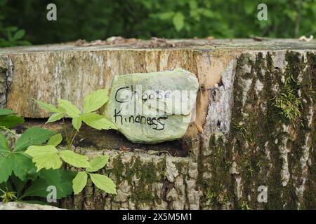 Die Nachricht lautet: „Wähle Freundlichkeit“. Stockfoto