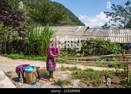 Blume Hmong Frau spinnt Leinenfasern, Ma Pi Leng, Ha Giang, Vietnam Stockfoto