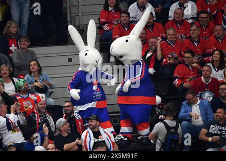 10. Mai 2024, Prag, Tschechische Republik: Das diesjährige offizielle Maskottchen sowie die 2015 IIHF Eishockey-Weltmeisterschaft repräsentieren nationale „Helden“ – Zeichentrickkaninchen in kompletter Hockeyausrüstung. Bob und Bobek sind die Hauptfiguren des beliebten tschechischen Zeichentrickfilms Gute-Nacht-Geschichten über zwei Kaninchen, die in einem Zauberhut leben. Die Serie erschien erstmals 1979 im tschechoslowakischen Fernsehen. Sein Autor ist der berühmte tschechische Künstler, Illustrator, Karikaturist und Regisseur von Zeichentrickfilmen Vladimir Jiranek. (Kreditbild: © Slavek Ruta/ZUMA Press Wire) NUR REDAKTIONELLE VERWENDUNG! Nicht für kommerzielle Zwecke Stockfoto