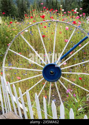 USA, Alaska. Weiße Pfostenzaun-Linie und altes Wagenrad in einem Wildblumenfeld. Stockfoto