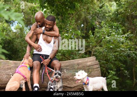 USA, Louisiana, Schwulenpaar mit Hunden, die im Wald sitzen Stockfoto