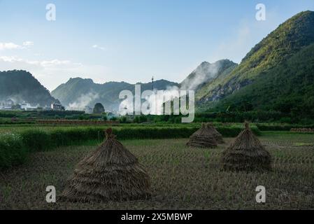 Reisfelder in Tam Son, Ha Giang, Vietnam Stockfoto