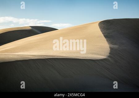 USA, Kalifornien, Central Coast, Oceano. Wehender Sand im Pismo State Beach Dune Preserve Stockfoto