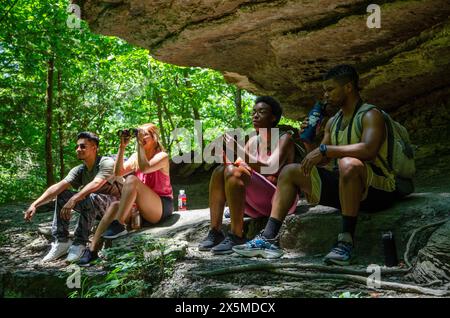 Junge Wanderer, die im Wald ruhen Stockfoto