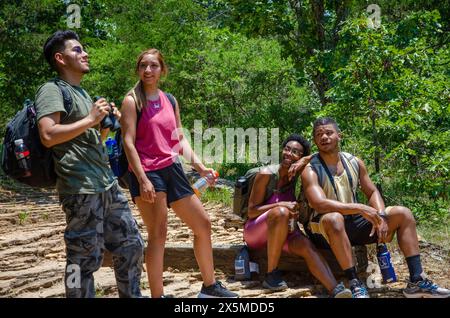 Junge Wanderer, die im Wald ruhen Stockfoto