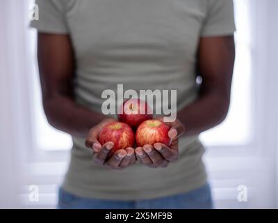 Mittelteil der Person, die Äpfel hält Stockfoto