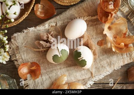 Rohe Ostereier mit Kräutern an ihnen mit altem Tuch befestigt - Vorbereitung zum Färben mit Zwiebelschalen Stockfoto