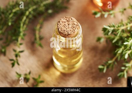 Ätherisches Thymianöl in einer durchsichtigen Glasflasche Stockfoto