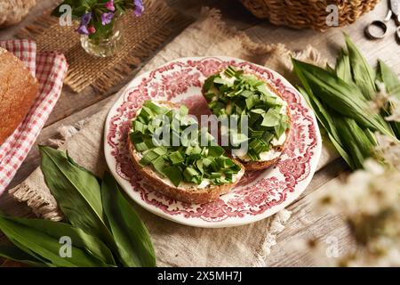 Grüner WildKnoblauch oder Ramson-Blätter auf zwei Scheiben Sauerteigbrot mit Butter Stockfoto