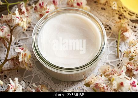 Hausgemachte Salbe für die Adern aus Rosskastanienblüten und ausgeschmolzenem Schmalz Stockfoto