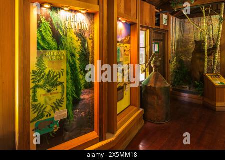 Ausstellung im Besucherzentrum Prairie Creek Redwood State Park, Kalifornien, USA. (Nur Für Redaktionelle Zwecke) Stockfoto