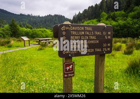 Trillium Falls Trail Schild, Prairie Creek Redwood State Park, Kalifornien, USA Stockfoto