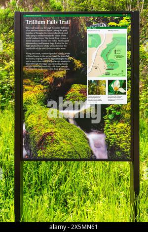 Trillium Falls Trail Schild, Prairie Creek Redwood State Park, Kalifornien, USA. (Nur Für Redaktionelle Zwecke) Stockfoto