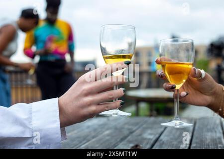 Freunde, die bei einem Treffen auf der Dachterrasse anstoßen? Stockfoto