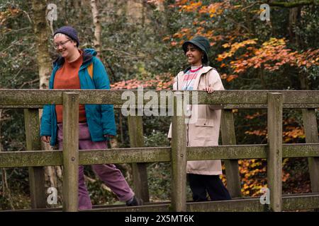 Weibliche Freunde, die auf einer Brücke im Wald laufen Stockfoto