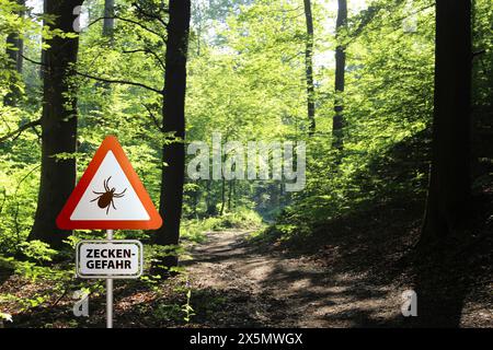 Warnschild für infizierte Zecken im Wald. Risiko von Zecken und Lyme-Borreliose. Stockfoto