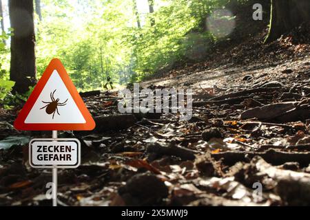 Warnschild für infizierte Zecken im Wald. Risiko von Zecken und Lyme-Borreliose. Stockfoto