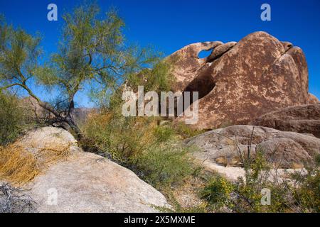 Hayfield Road Off-Rampe, Mojave Desert, Kalifornien Stockfoto