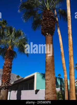 Palm Springs, Haus der Moderne. (Nur Für Redaktionelle Zwecke) Stockfoto