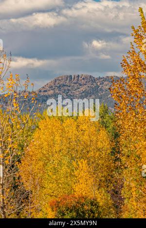 USA, Colorado, Fort Collins. horsetooth Mountain und Waldlandschaft. Stockfoto