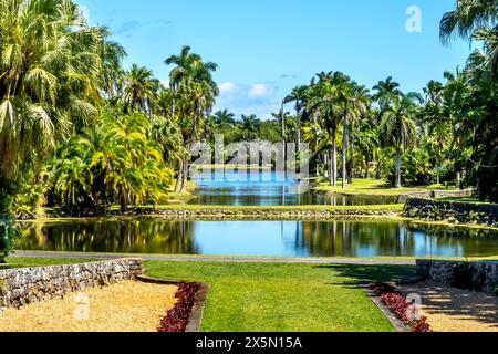 Palmen, Fairchild Tropical Botanic Garden, Coral Gables, Florida. Stockfoto