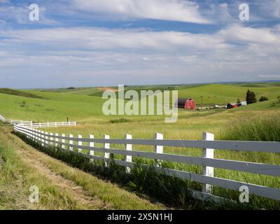 USA, Idaho, Palouse. Weiße Zaunlinie, die zu einer Landfarm führt. (Nur Für Redaktionelle Zwecke) Stockfoto
