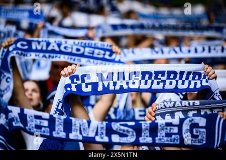 Magdeburg, Deutschland. Mai 2024. Fußball: Bundesliga 2, 1. FC Magdeburg - SpVgg Greuther Fürth, Spieltag 33, MDCC-Arena. Magdeburger Fans stehen mit ihren Tüchern auf den Tribünen. Hinweis: Swen Pförtner/dpa – WICHTIGER HINWEIS: gemäß den Vorschriften der DFL Deutscher Fußball-Liga und des DFB Deutscher Fußball-Bundes ist es verboten, im Stadion und/oder des Spiels aufgenommene Fotografien in Form von sequenziellen Bildern und/oder videoähnlichen Fotoserien zu verwenden oder zu nutzen./dpa/Alamy Live News Stockfoto