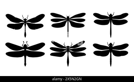 Set aus einer schwarzen Libelle auf weißem Hintergrund. Illustration des Insektenvektors isolierte Grafik. Sammlungszeichnung Ausschnitt und Elementcartoon dez Stock Vektor