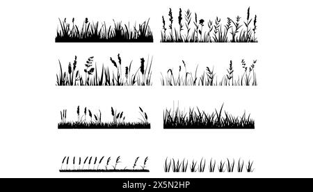 Vektorsatz von schwarzen Grassilhouetten auf weißem Hintergrund. Natur Illustration Sommer Design und Garten horizontale Botanik. Wiesenblume ausgeschnitten und o Stock Vektor