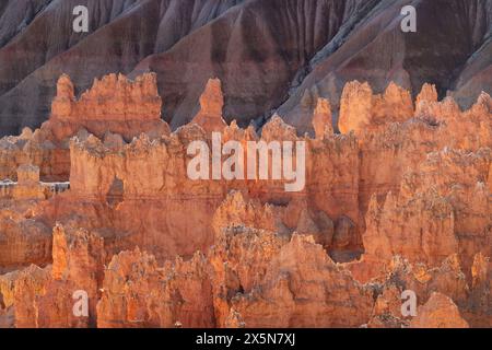 Blick auf die farbenfrohen Hoodoos der Silent City vom Sunrise Point, Bryce Canyon National Park, Utah. Stockfoto