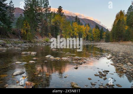 Herbstlaub am Methow River in der Nähe von Mazama, Washington State. Stockfoto