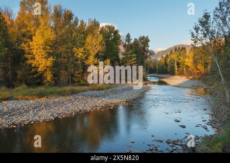 Herbstlaub am Methow River in der Nähe von Mazama, Washington State. Stockfoto