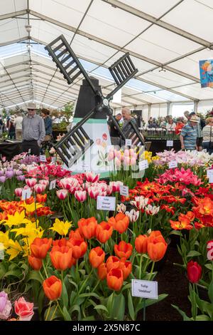 Mai 2024. Das RHS Malvern Spring Festival wurde heute an einem warmen sonnigen Tag eröffnet. Tausende von Besuchern besuchten die jährliche Blumenausstellung auf dem Three Counties Showground in Malvern, Worcestershire, England, Großbritannien. Die Veranstaltung findet über 4 Tage statt und endet am 12. Mai 2024. Abbildung: Innenseite des floralen Festzelt Stockfoto