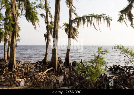 Ein malerischer Blick auf den Lake Pontchartrain in Louisiana bei Sonnenuntergang. Stockfoto