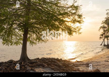 Ein malerischer Blick auf den Lake Pontchartrain in Louisiana bei Sonnenuntergang. Stockfoto