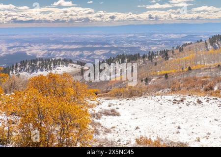 USA, Utah. Schnee am Boulder Mountain und Herbstaspen. Stockfoto