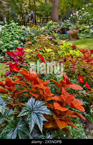 USA, Bundesstaat Washington, Sammamish. Garten in voller Blüte. Stockfoto