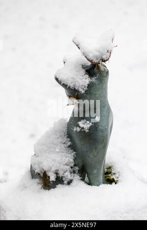 USA, Bundesstaat Washington, Sammamish. Frischer Schnee fällt auf Gartenkunst im Hof Stockfoto