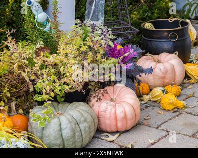 USA, Washington State, Kittitas County. In einem Gartencenter in Kittitas County gibt es eine Vielzahl von bunten Kürbissen. Stockfoto