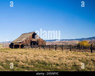 USA, Washington State, Kittitas County. Alte Holzscheune im Herbst in Kittitas County. Stockfoto