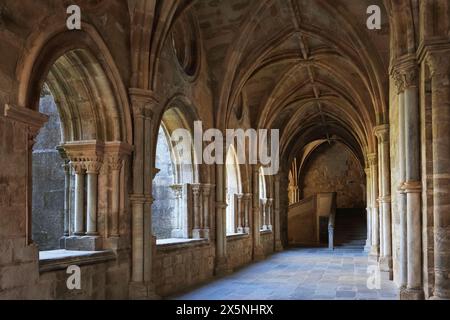 Atmoshperische Aufnahmen der Kreuzgänge der Kathedrale von Evora (Sé de Evora) Details, Evora, Portugal bei diffuser Beleuchtung am Morgen Stockfoto