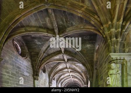 Atmoshperische Aufnahmen der Kreuzgänge der Kathedrale von Evora (Sé de Evora) Details, Evora, Portugal bei diffuser Beleuchtung am Morgen Stockfoto