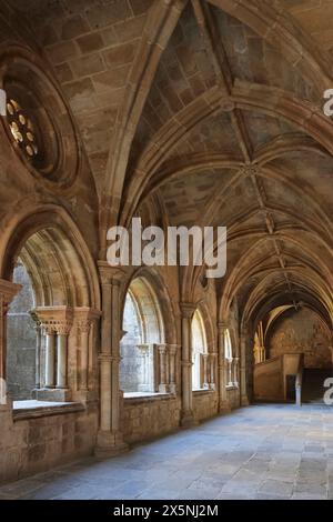 Atmoshperische Aufnahmen der Kreuzgänge der Kathedrale von Evora (Sé de Evora) Details, Evora, Portugal bei diffuser Beleuchtung am Morgen Stockfoto