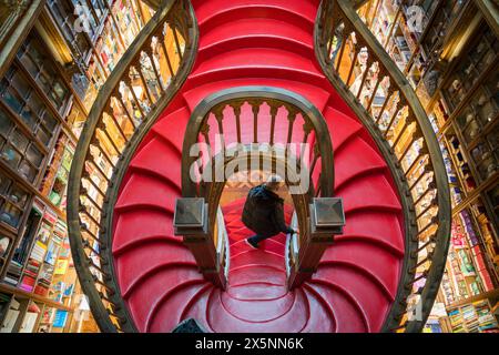 Livraria Lello Innenraum. Berühmte majestätische Buchhandlung von Porto. Wunderschöne Treppe. Touristenattraktion. Reiseziel. Stockfoto